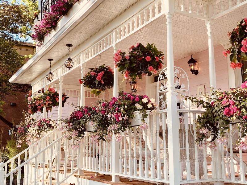 Maison Rose