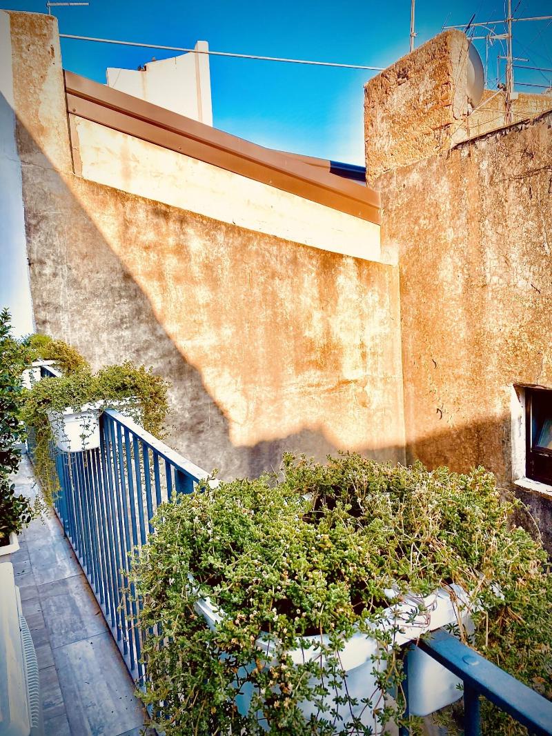 B&B Stramondo image