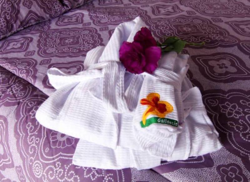 Gallaecia Hotel Boutique image