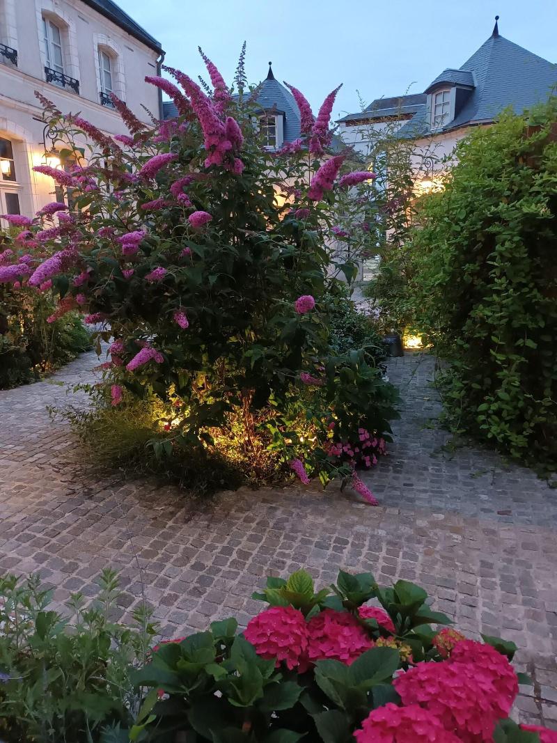 Hotel Loysel Le Gaucher image