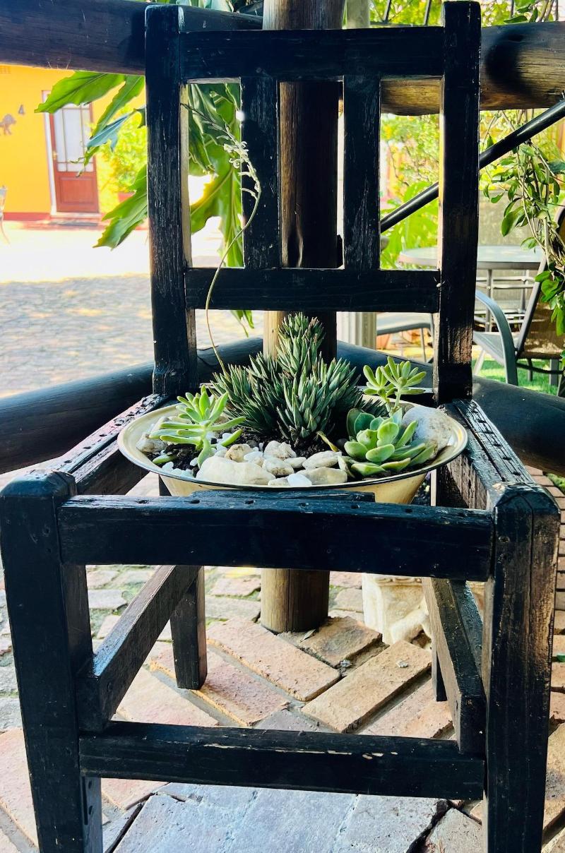 Marle Lodge Bed Breakfast image
