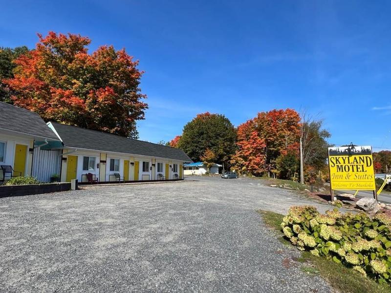Skyland Motel Inn Suites — photo 4