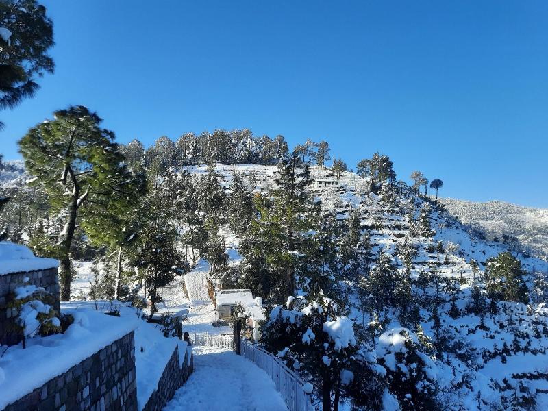 juSTa Mukteshwar Retreat & Spa image