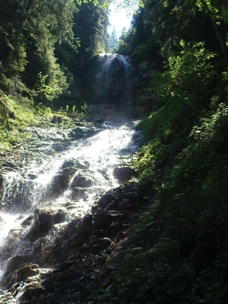 Pension Gimmelwald image