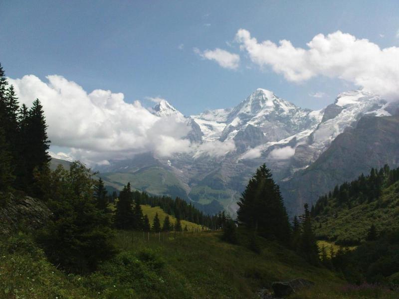 Pension Gimmelwald image