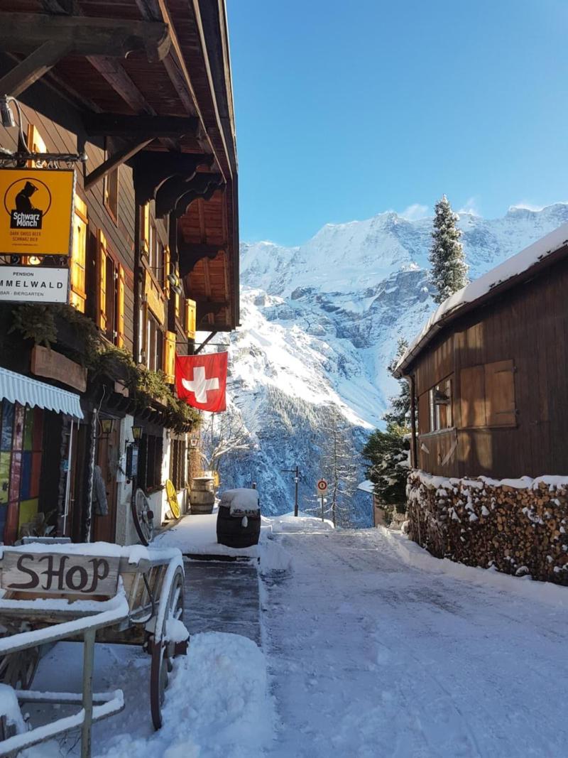 Pension Gimmelwald image
