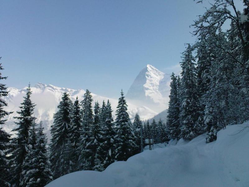 Pension Gimmelwald image