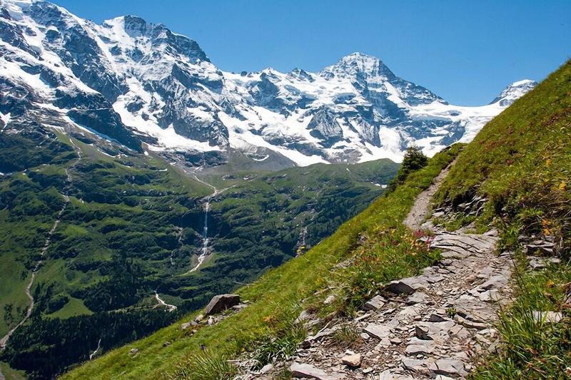 Pension Gimmelwald image