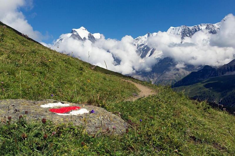 Pension Gimmelwald image