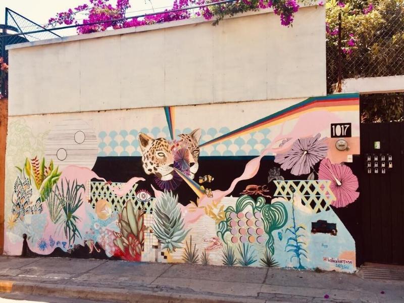 Los Nardos Hostel By Rotamundos — main photo
