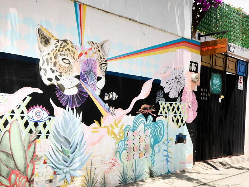 Los Nardos Hostel By Rotamundos — photo 5