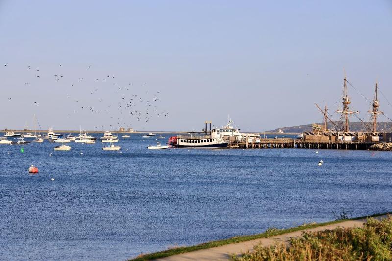 Harbourtown Suites image