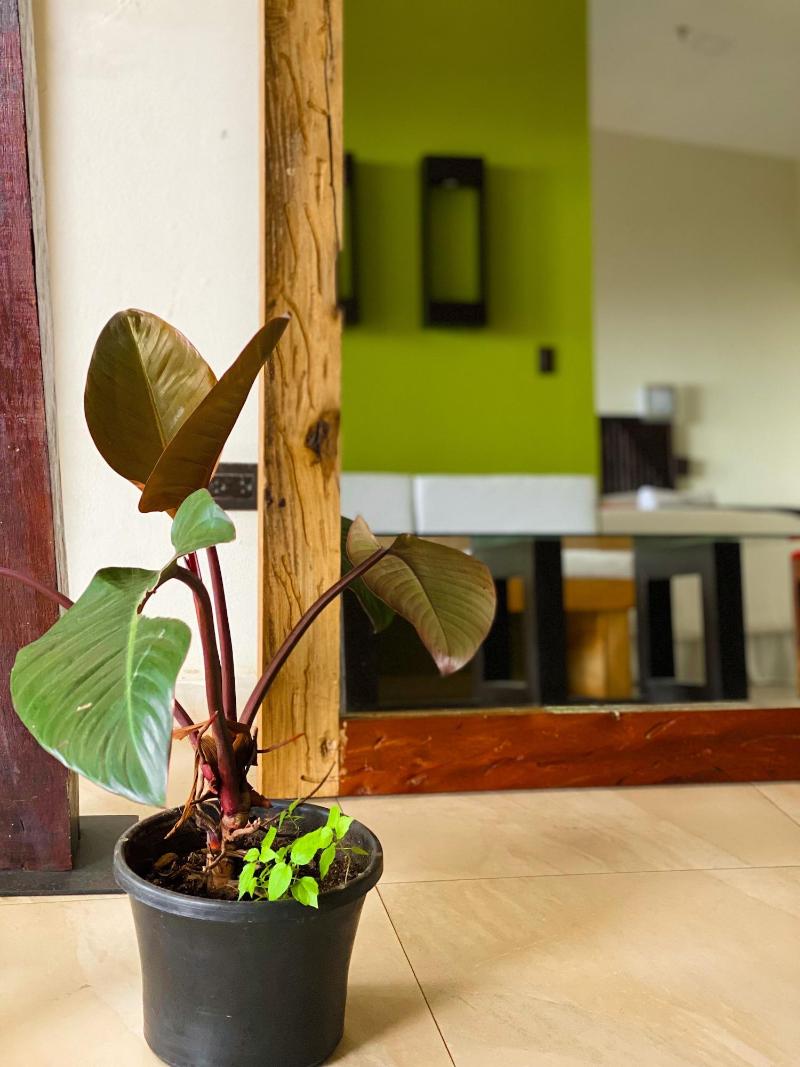 Casa 1800 Cerro Verde Boutique Hotel image