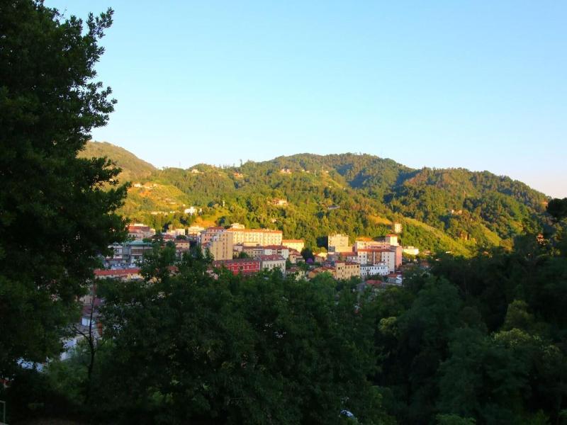 La Marmifera B B image