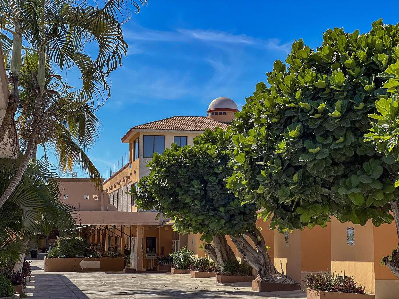 Hotel Oasis image