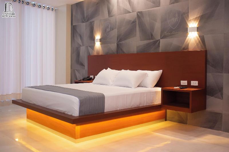 Hotel Osho image
