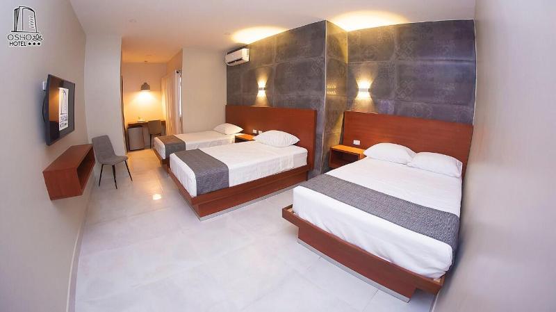 Hotel Osho image
