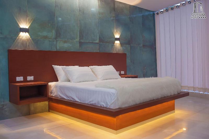 Hotel Osho image