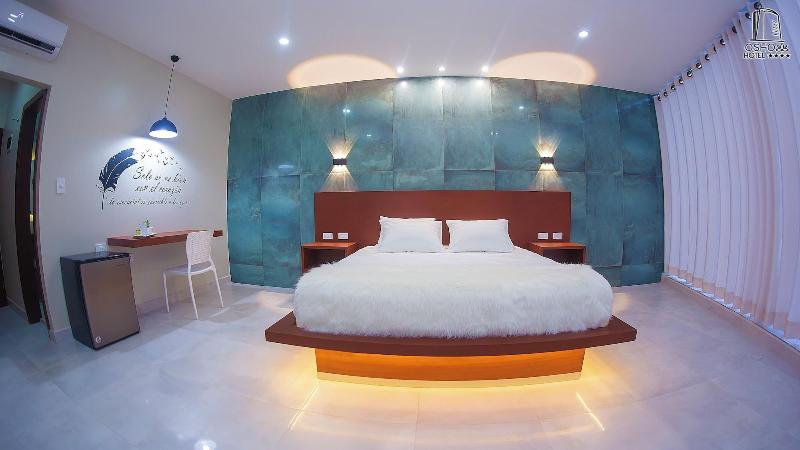 Hotel Osho image
