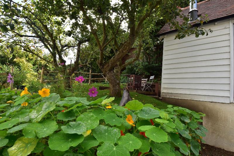 Applecote Rye — photo 2