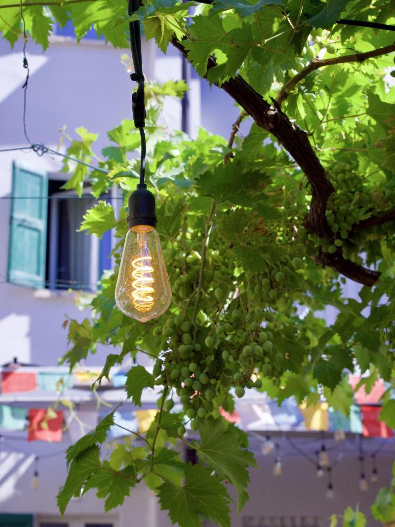 Casa Babbuino image