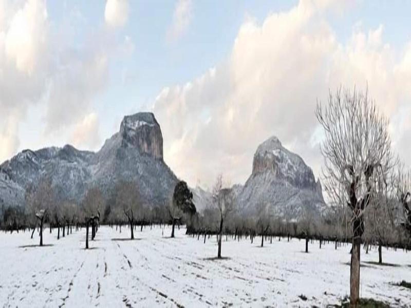 Alara Natura Rural Suites image