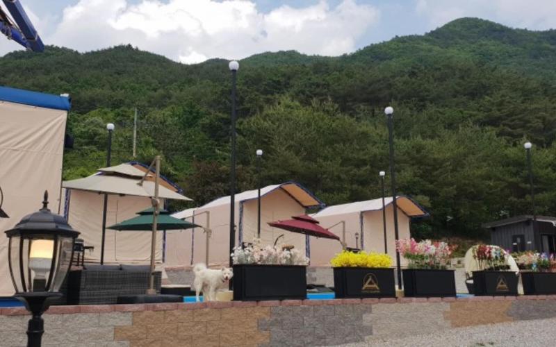 Andong Sunrise Glamping image