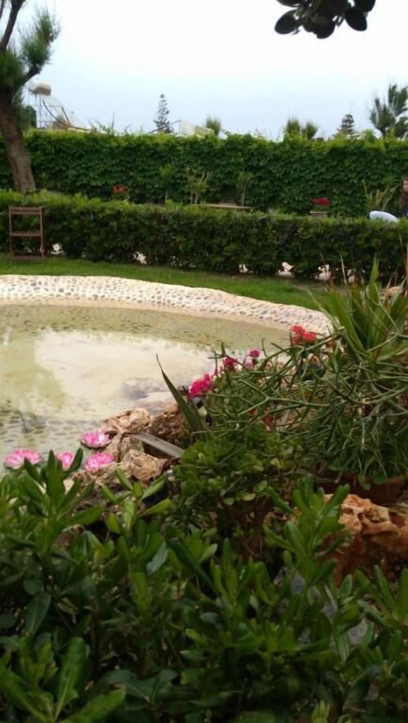 Melina Beach Hotel image
