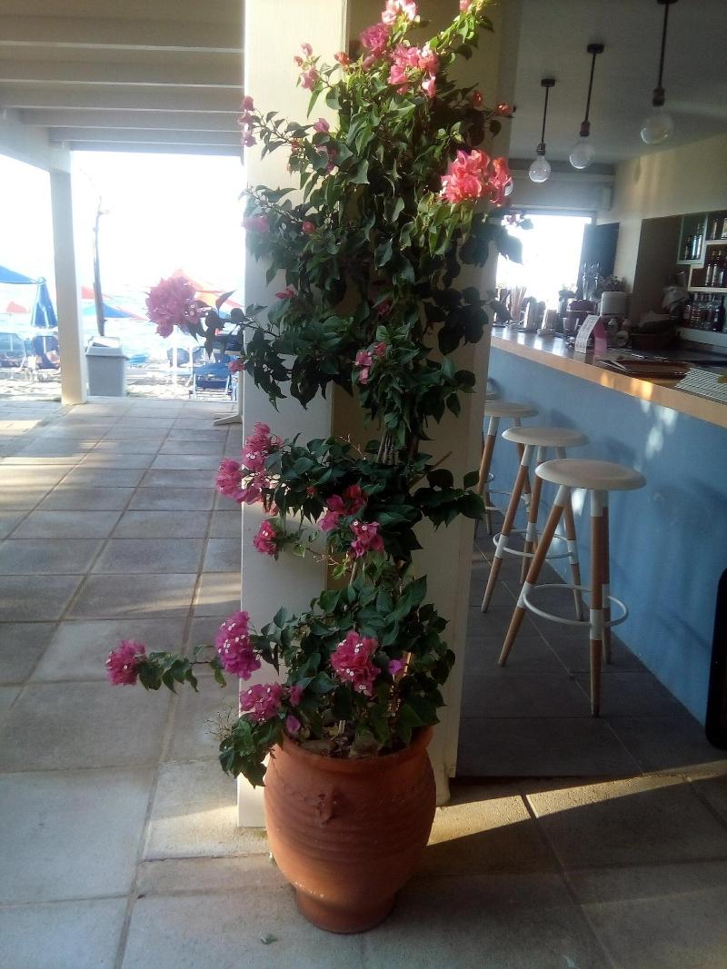 Melina Beach Hotel image
