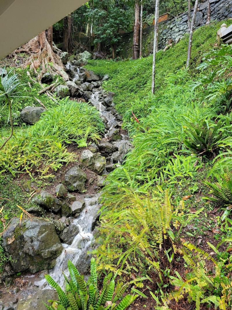 Villa Gringo Farms image