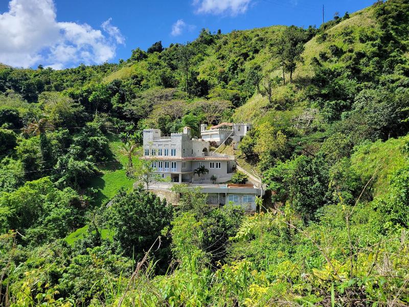 Villa Gringo Farms image