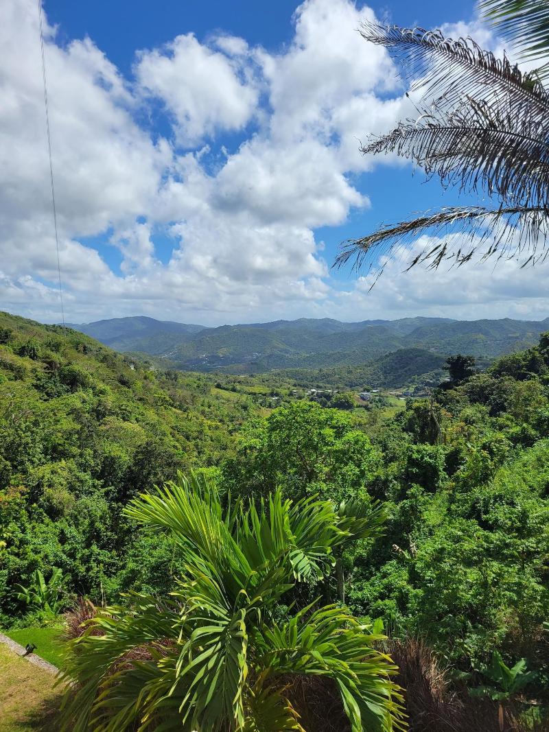 Villa Gringo Farms image