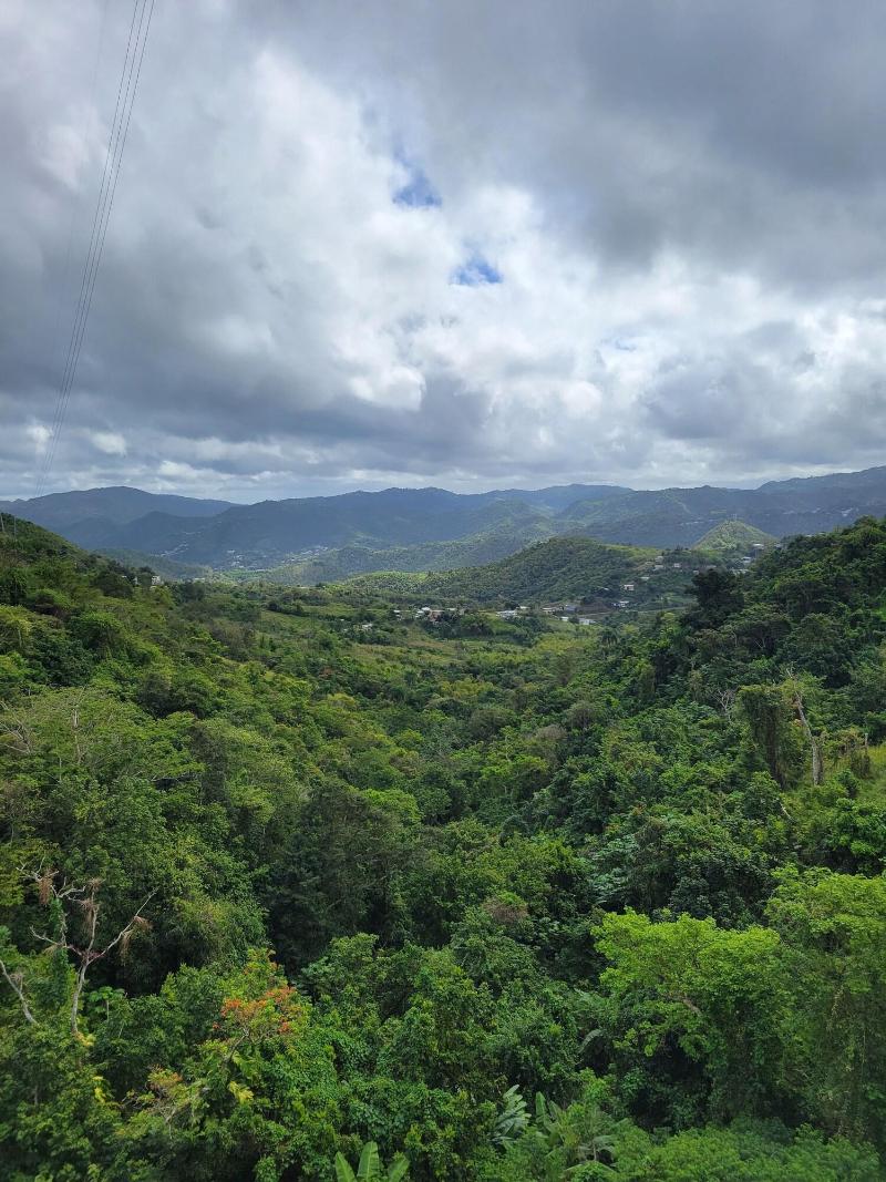 Villa Gringo Farms image