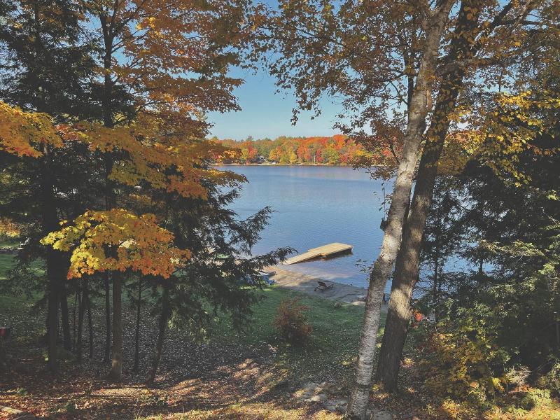 Muskoka Lake Cottages image