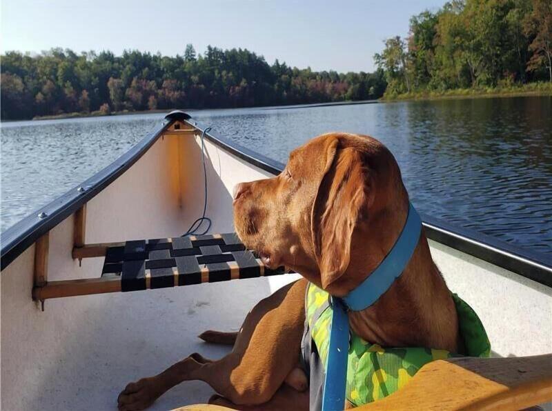 Muskoka Lake Cottages image