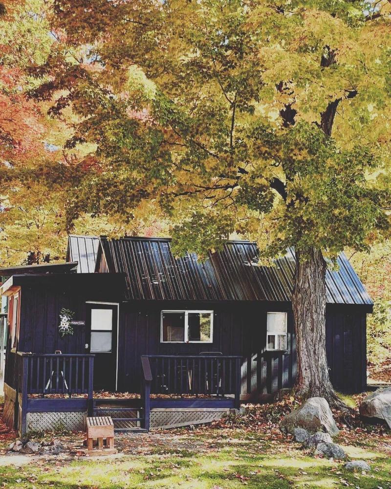 Muskoka Lake Cottages image