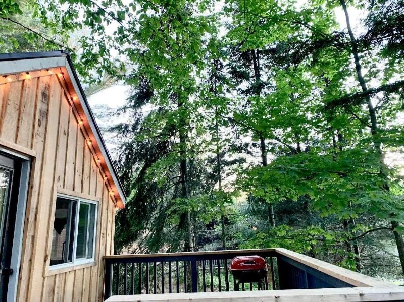 Muskoka Lake Cottages image