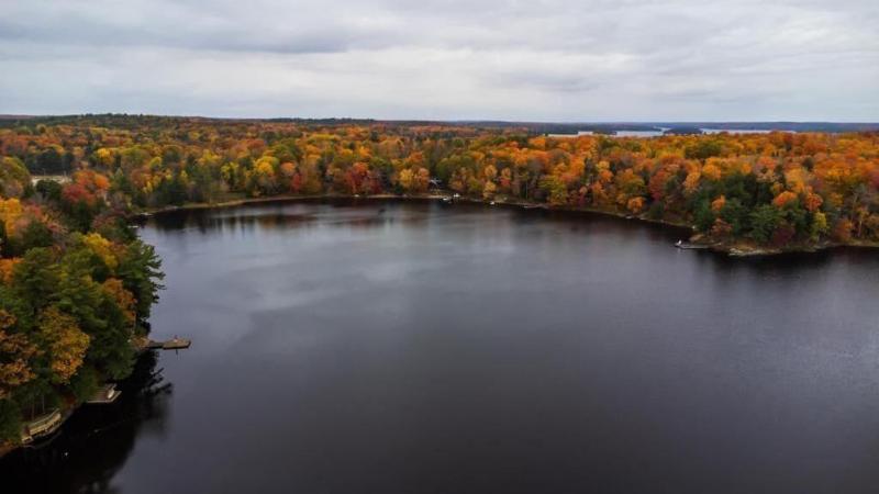 Muskoka Lake Cottages image