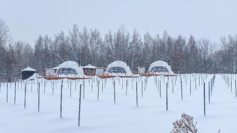 Campagne Au Clos Sainte Tha Cle — photo 2