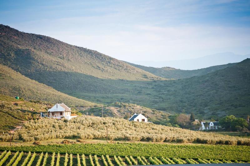 Orange Grove By Totalstay — main photo