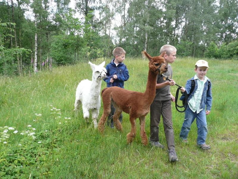 Kra Uterbaude image