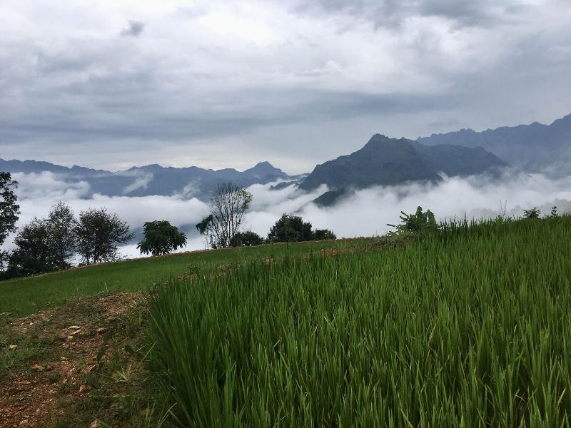 Bao Lac Homestay Hostel image