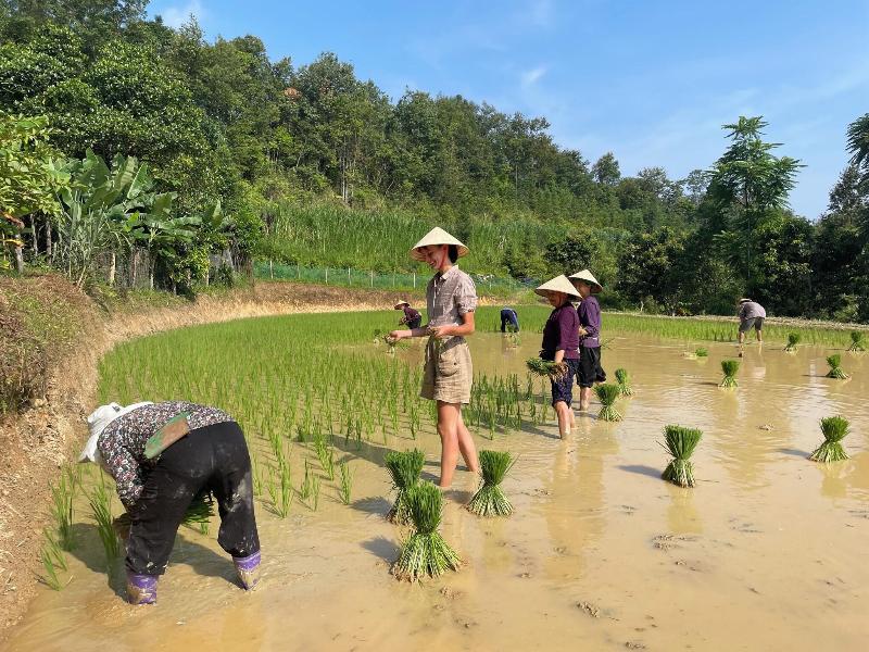 Bao Lac Homestay Hostel image