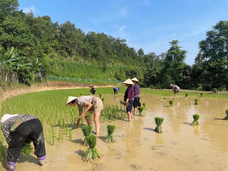 Bao Lac Homestay Hostel image