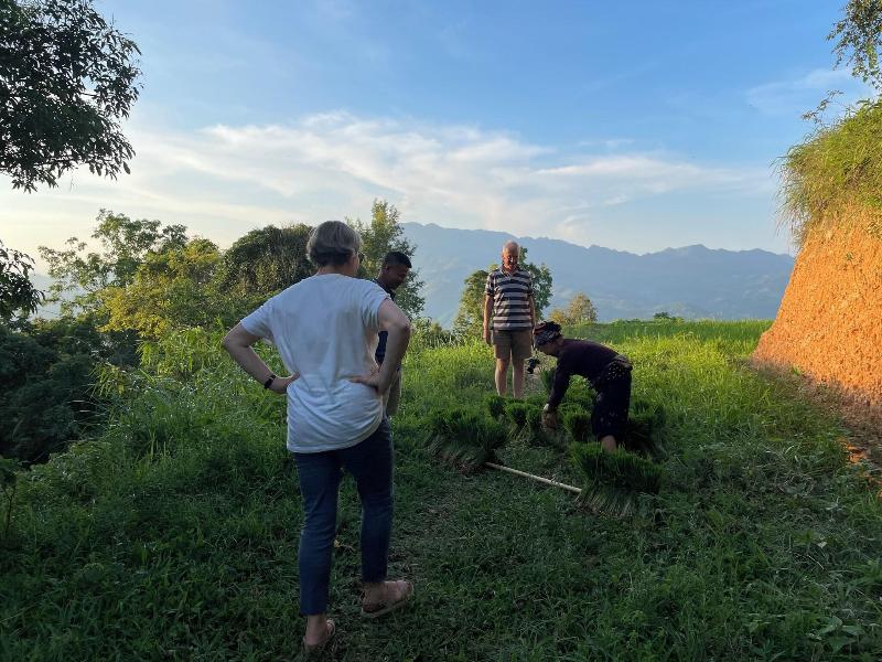 Bao Lac Homestay Hostel image