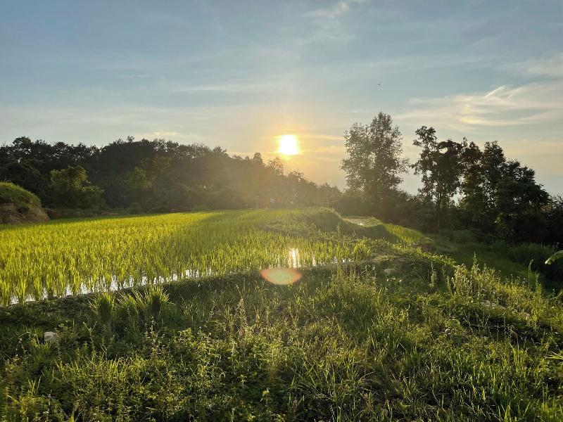 Bao Lac Homestay Hostel image