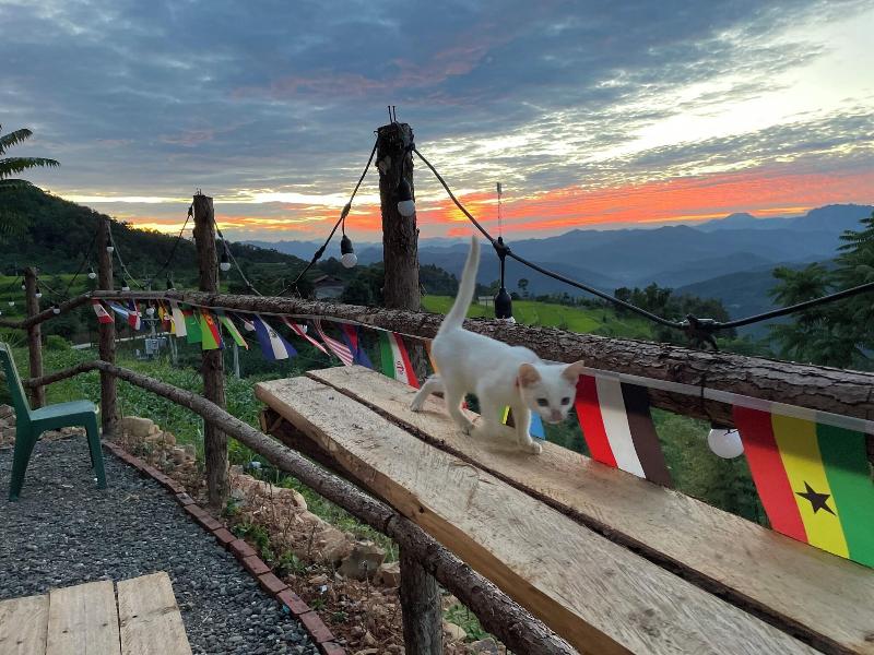 Bao Lac Homestay Hostel image