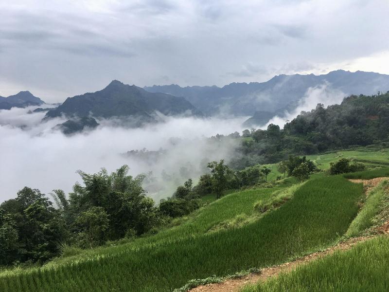 Bao Lac Homestay Hostel image