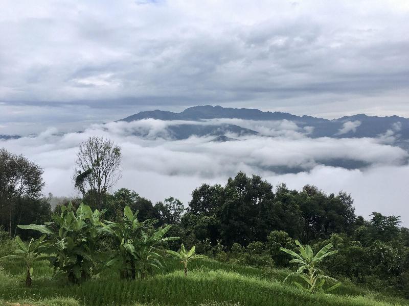 Bao Lac Homestay Hostel image