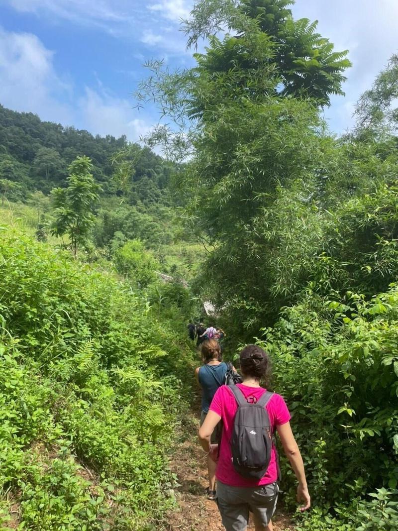 Bao Lac Homestay Hostel image